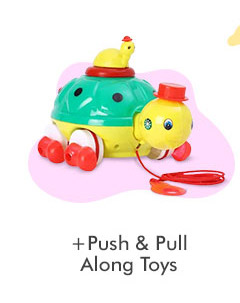 Push & Pull Along Toys